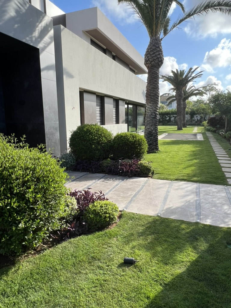 Jardin villa avec gazon Paspalum dense